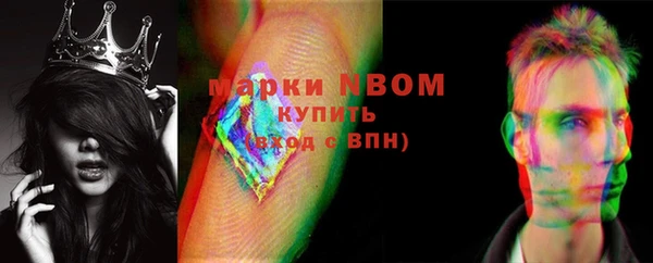 хмурый Алзамай