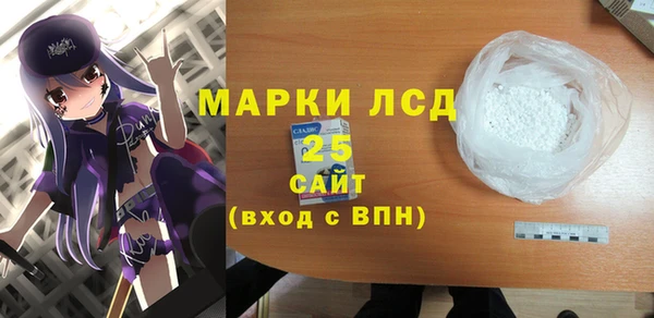 хмурый Алзамай