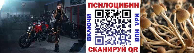 Купить где  Серафимович  Галлюциногенные грибы Psilocybe 